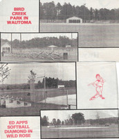 1983 Major State Tournament Program  (6)