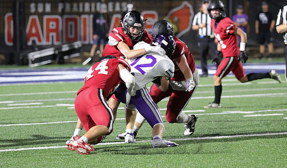 8 Brady Shanahan  (44)
