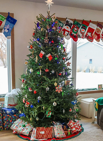 Christmas 2024 (3)