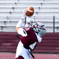 4 David Emerich (11)