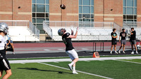 20 Will Packard (12)