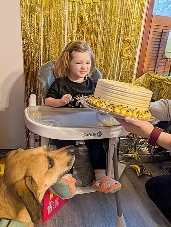 ARYA Birthday #2 (1)