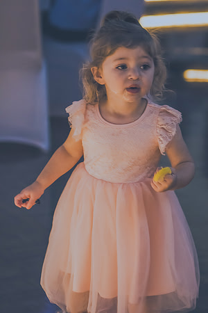 80 WEDDING RECEPTION (259)