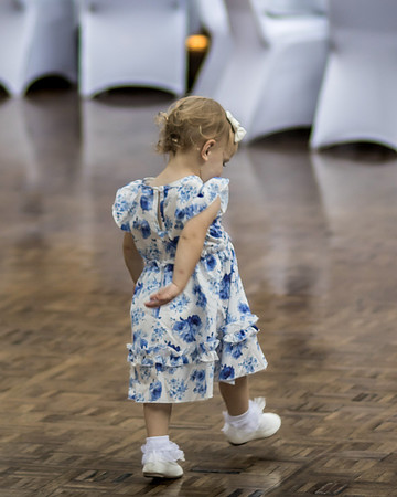 80 WEDDING RECEPTION (276)