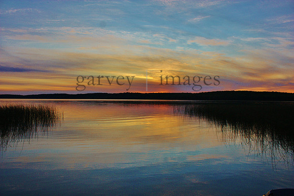 Wildlife & Nature  (11)