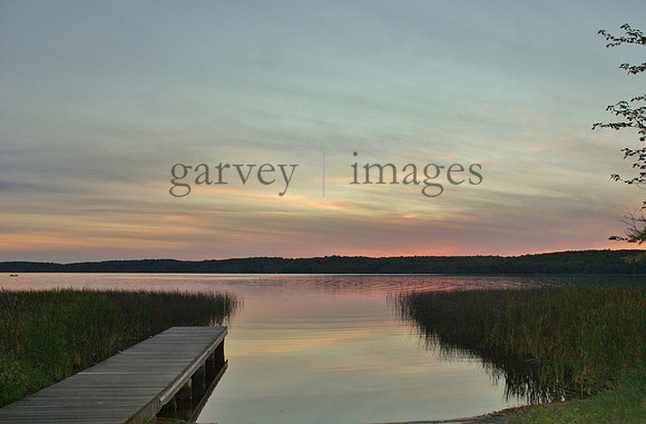 Wildlife & Nature  (12)