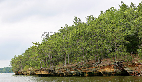 Wildlife & Nature  (70)