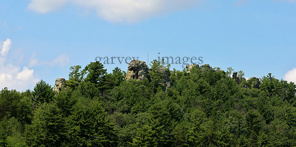 Wildlife & Nature  (73)