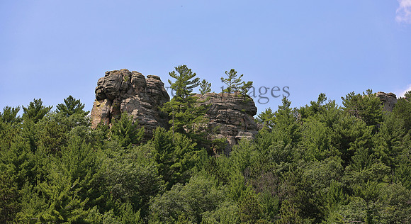 Wildlife & Nature  (72)