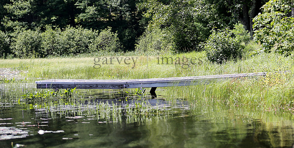 Wildlife & Nature  (100)