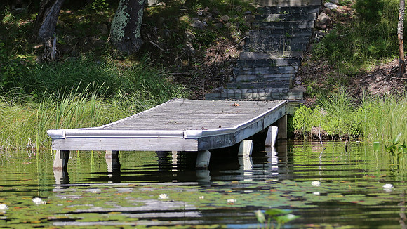 Wildlife & Nature  (102)