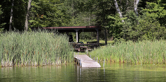 Wildlife & Nature  (138)