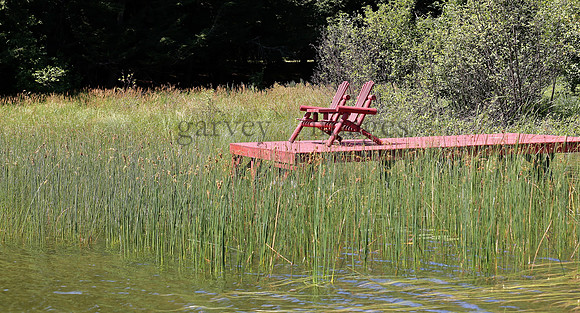 Wildlife & Nature  (167)