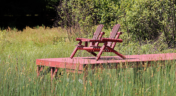Wildlife & Nature  (168)