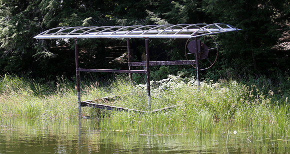 Wildlife & Nature  (171)