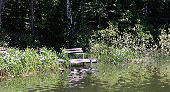 Wildlife & Nature  (186)