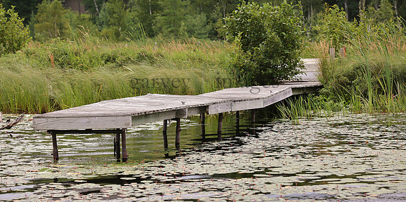 Wildlife & Nature  (198)