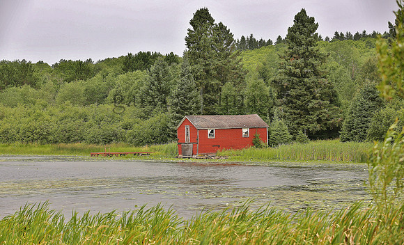 Wildlife & Nature  (204)