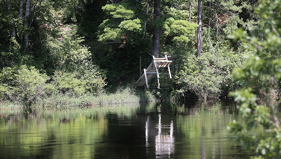 Wildlife & Nature  (220)
