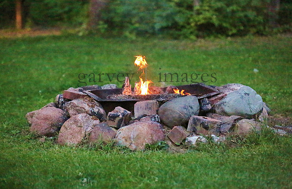 Wildlife & Nature  (225)