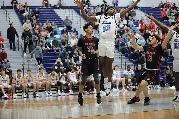 33 Marcus Taylor (22)