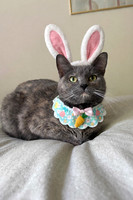 4-5-26 EASTER (1)-2
