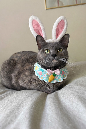 4-5-26 EASTER (1)-2