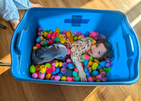 4-5-26 EASTER EGG HUNT at Brenda & Jim's (9)