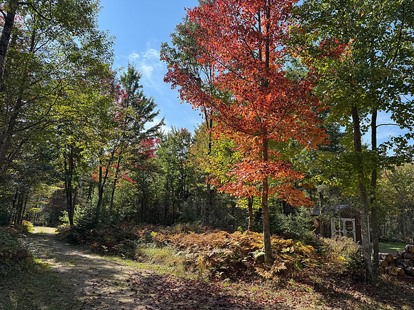 10-2025 FALL CABIN (1)