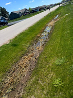Garvey 5343 Buttke ct Drainage Issues on the Hayfield Street Side of Property