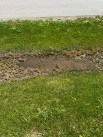 Garvey 5343 Buttke ct Drainage Issues on the Hayfield Street Side of Property