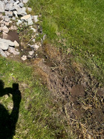 Garvey 5343 Buttke ct Drainage Issues on the Hayfield Street Side of Property