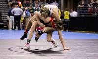 Sun Prairie 132 lbs. Parker Olson Match #1 State Tournament 2023    (14)