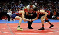 Sun Prairie 138 lbs. Dylan Muehlenberg Match #1 State Tournament 2023 (2)