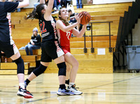 3-12-23 7th Grade Girls Champiosnhip Shullsburg vs. Hortonville Black (12)