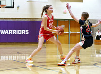 3-12-23 7th Grade Girls Champiosnhip Shullsburg vs. Hortonville Black (15)
