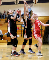 3-12-23 7th Grade Girls Champiosnhip Shullsburg vs. Hortonville Black (14)