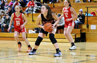 3-12-23 7th Grade Girls Champiosnhip Shullsburg vs. Hortonville Black (18)