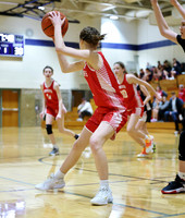 3-12-23 7th Grade Girls Champiosnhip Shullsburg vs. Hortonville Black (17)
