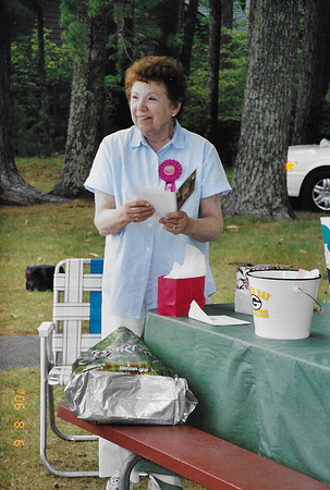 2006 Hayward  (3)