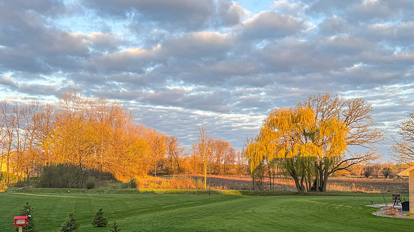 4-30-26 BACKYARD SUNRISE (4)