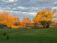 4-30-26 BACKYARD SUNRISE (1)
