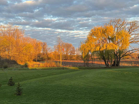 4-30-26 BACKYARD SUNRISE (1)