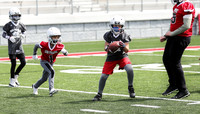 4-25-21 6th Grade Peterson vs. 6th Grade Ingalls  (25)