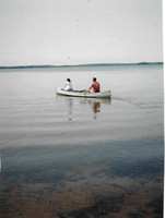 2003 (5)