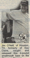 2003 (15)