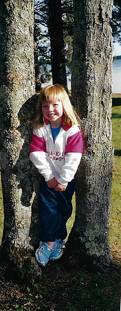 2003 (38)