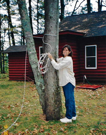 2004 (38)