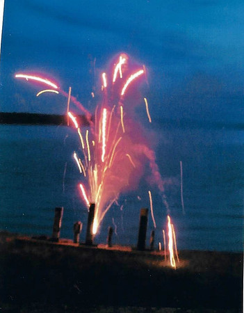 2004 (87)