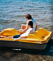 2005 (7)